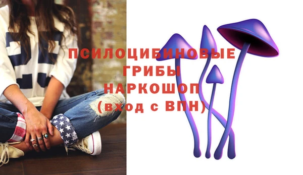 дурь Армянск