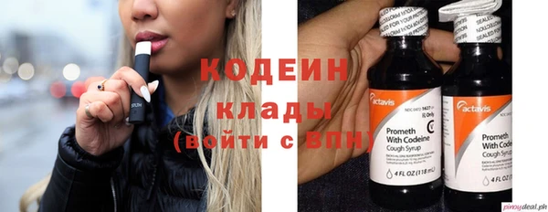 ГАЛЛЮЦИНОГЕННЫЕ ГРИБЫ Арсеньев
