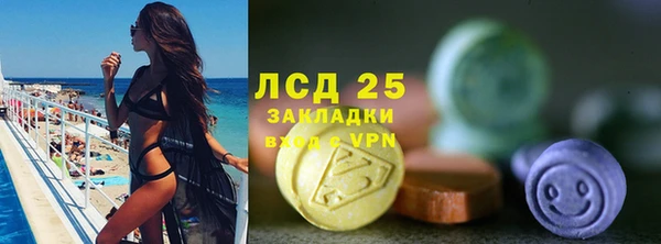 ГАЛЛЮЦИНОГЕННЫЕ ГРИБЫ Арсеньев