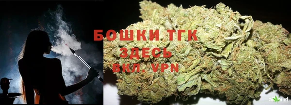 эйфоретик Аркадак