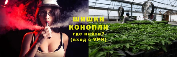 ГАЛЛЮЦИНОГЕННЫЕ ГРИБЫ Арсеньев