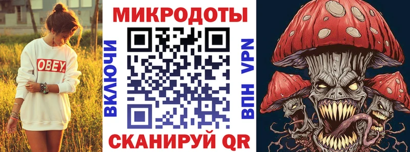 где найти   Рыбное  Галлюциногенные грибы мицелий 
