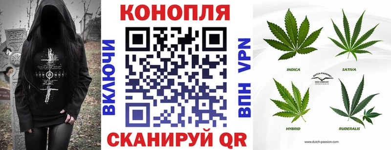 Бошки марихуана марихуана  нарко площадка какой сайт  Рыбное 